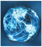 Services Validation Solution
